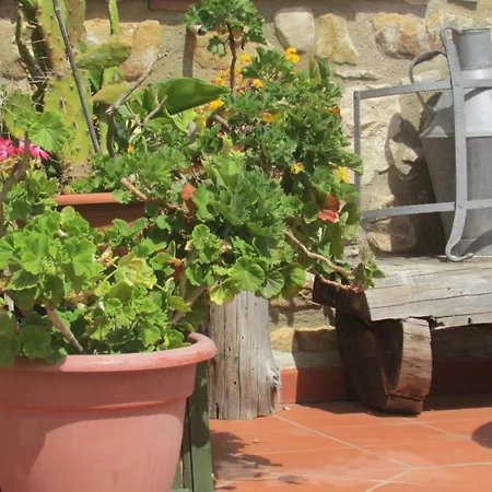 Alloggio per agriturismo Capuano *