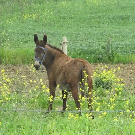 Capuano Alloggio per agriturismo *