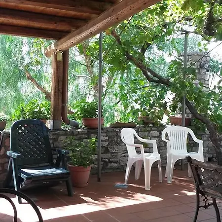 Capuano * جانجي