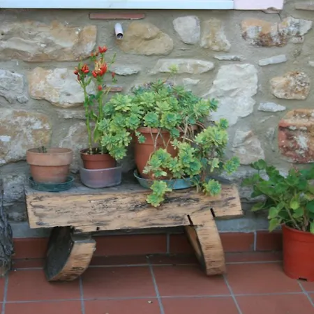 مزرعة للإقامة Capuano