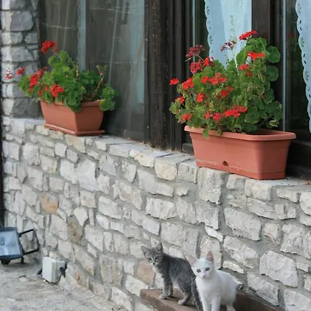 Capuano مزرعة للإقامة *